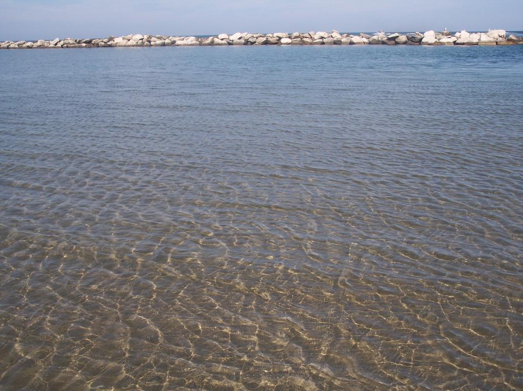 Hotel Eden Viserbella di Rimini Zewnętrze zdjęcie