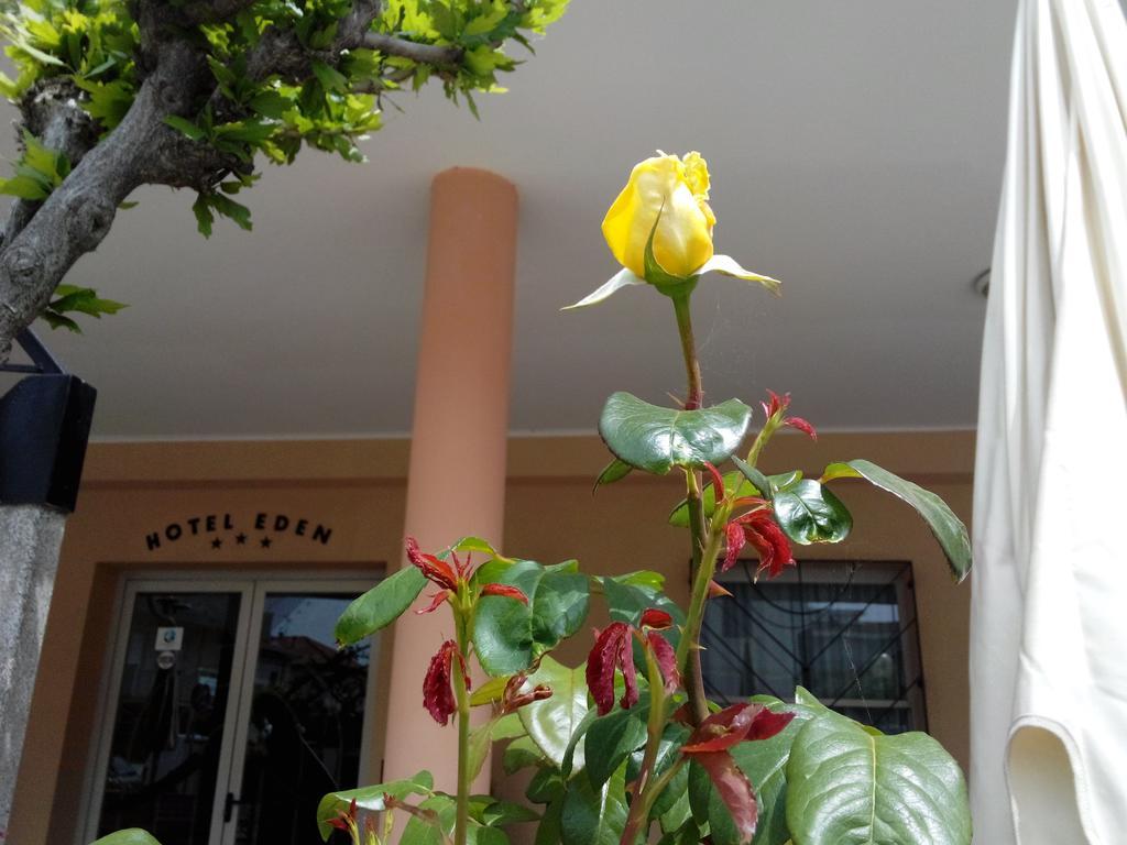 Hotel Eden Viserbella di Rimini Zewnętrze zdjęcie